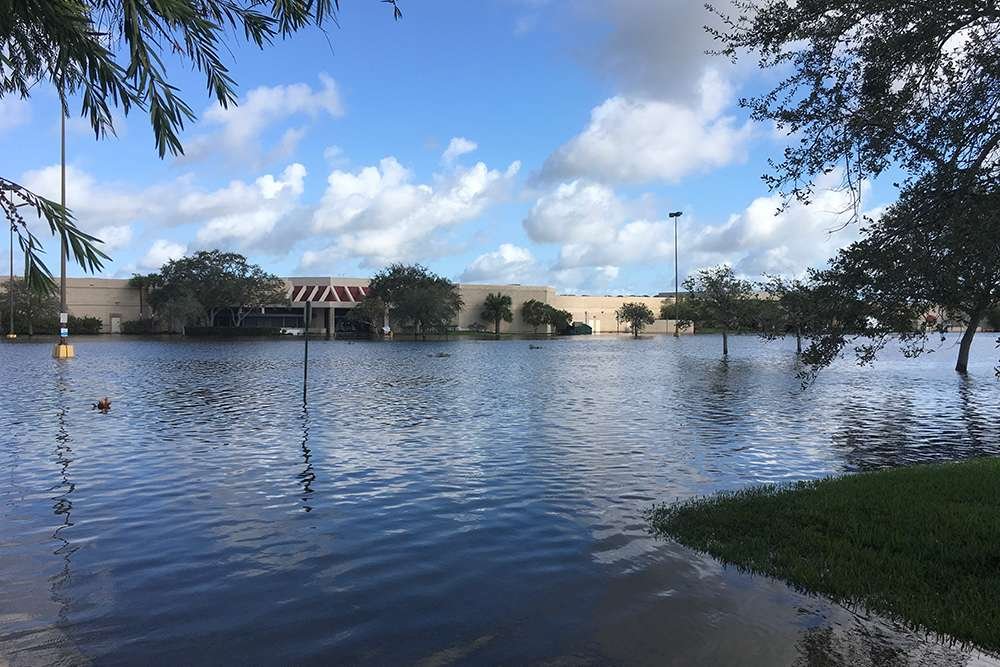 Orange Blossom Business Center