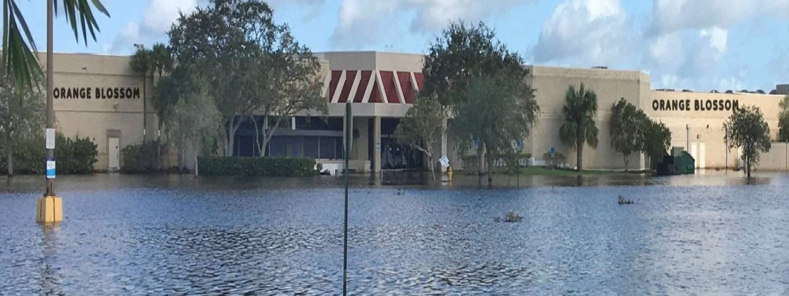 A Building Is Flooded With Ducks In Front Of It.